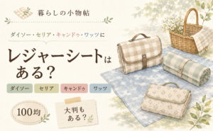 レジャーシートは100均で売ってる？ダイソー・キャンドゥ・ワッツの販売状況