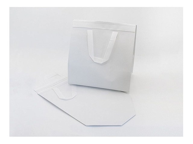 キャンドゥのギフト用保温保冷バッグ L 2P（110円）の商品画像