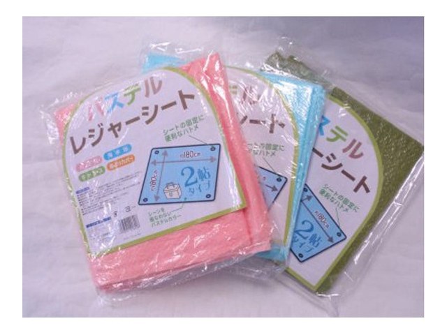 キャンドゥのパステルレジャーシート 2帖(110円)の商品画像