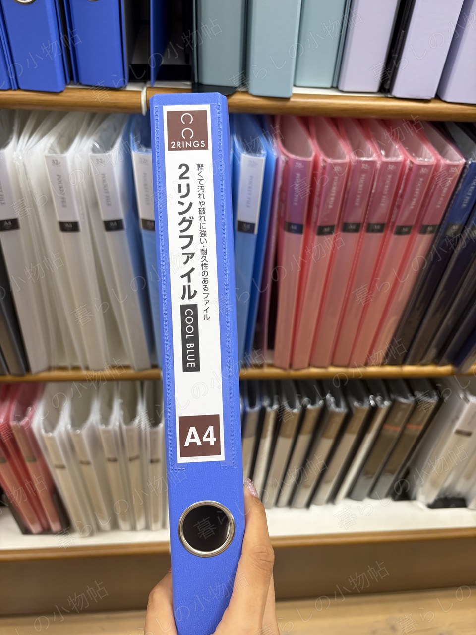 2リングファイル（A4・青）（セリア店頭・編集部撮影）